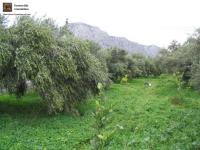 Haus kaufen Kato Chorio klein 7gx23dtne392