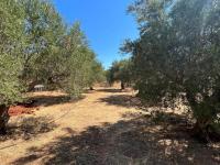 Haus kaufen Kavousi klein clm5e4ds27k0