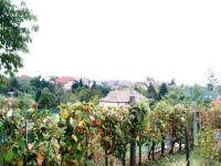 Haus kaufen Keszthely klein g7zrl3yd1vfb