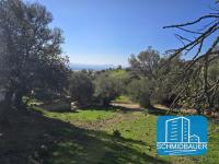 Haus kaufen Klima klein 80299qp4vs5c