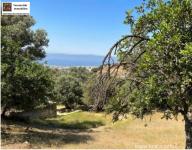 Haus kaufen Klima klein 8yibih1x0wfk