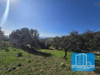 Haus kaufen Klima klein f9lwqgd9x7m5