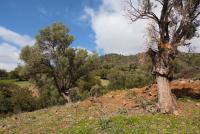 Haus kaufen Klima klein kwzelweidqo3