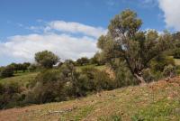 Haus kaufen Klima klein oakfphcjg9ag