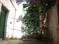 Haus kaufen Kritsa, Lasithi, Kreta klein 36dn8h5fq24p