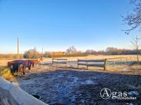 Haus kaufen Küstriner Vorland klein 6tpws7medne1