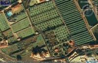 Haus kaufen La Orotava klein gss30tjedxl7