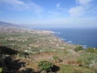 Haus kaufen La Orotava klein lfjn2x7pev66