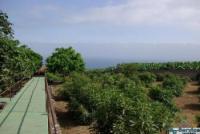 Haus kaufen La Orotava klein zr8fzkqlgkv7