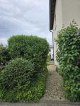 Haus kaufen Lampertheim klein u0vl67a1t13d