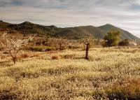 Haus kaufen Las Palas klein m72o6b8erulj