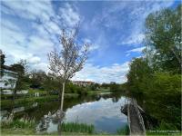 Haus kaufen Laubach (Landkreis Gießen) klein 1gvdah234uog