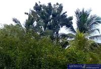 Haus kaufen Le Robert klein h5uaixmt2tqb