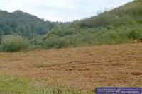 Haus kaufen Le Robert klein yt7d3jgs4m39