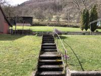 Haus kaufen Lichtenstein klein kizrv7j35304