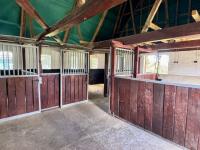 Haus kaufen Linden (Kreis Dithmarschen) klein p80pm2n5cue4