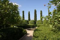 Haus kaufen Llubí klein 861sb0rxuwf4