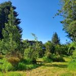 Haus kaufen Loncoche klein ccb1i5kfrlmz