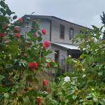 Haus kaufen Loncoche klein cl8qqzfbnv73