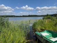 Haus kaufen Lubniewice klein wj0ilor11bha