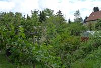 Haus kaufen Lucka klein xtp8k4gxtqe7