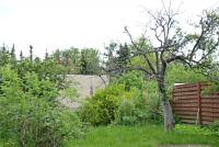 Haus kaufen Lucka klein y3mki1t3h7uw