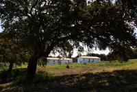 Haus kaufen Luogosanto klein o2hb3ndc5mdg