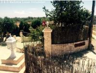 Haus kaufen Luucmajor klein lebqak52xcyd