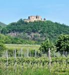 Haus kaufen Maikammer klein myuz92jev0fs