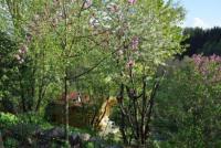 Haus kaufen Mainhardt klein 1fpep4aq4c52