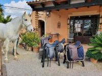 Haus kaufen Manacor klein slb6ow1krqat