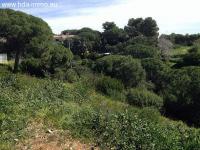 Haus kaufen Marbella-Ost klein m49efk5g0yse