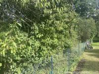 Haus kaufen Marpingen klein phybtzhkdoe8