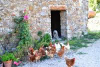 Haus kaufen Massa Marittima klein 89td1fepg7z6