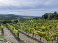 Haus kaufen Massa Marittima klein ir3o1ugowahn