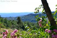 Haus kaufen Massa Marittima klein ng0jkego9mku