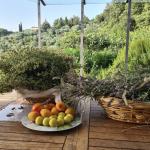 Haus kaufen Massa Marittima klein xtfnhq3c62j4