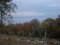 Haus kaufen Medveja klein e9sro3zjqexf