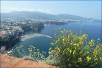 Haus kaufen Meta klein z9771dyyskqj