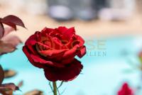 Haus kaufen Monte Leon klein iy964vbj3lyb