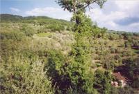 Haus kaufen Montecatini-Terme klein ctpvdqy59csm