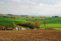 Haus kaufen Montepulcano klein kyawy6whef68