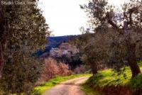 Haus kaufen Montorgiali klein q53gr9saknug