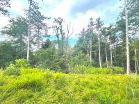 Haus kaufen Mosbach klein t2x68qmczk44