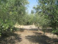 Haus kaufen Muro de Alcoy klein uh4jkdx1yk0e