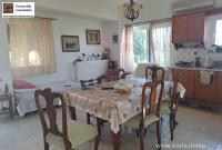 Haus kaufen Neo Chorio klein vkafri2zeey4