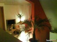 Haus kaufen Neuhaus-Schierschnitz klein 1q2p1isozfti