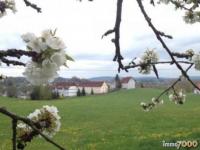 Haus kaufen Neuhaus-Schierschnitz klein rfuo07uwmd5e