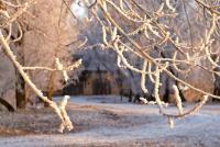 Haus kaufen Nickelsdorf klein 47rd7lakqcfd