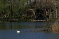 Haus kaufen Nickelsdorf klein f41dtxvlbryz